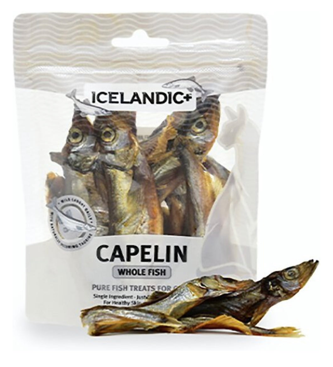 Icelandic Capelin